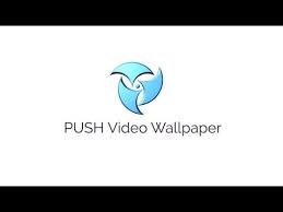 push video wallpaper full crack
